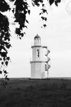 black and white photo of a lighthouse with a branch