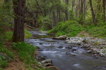 Down stream in rocky Cyprus forest. Long exposure.