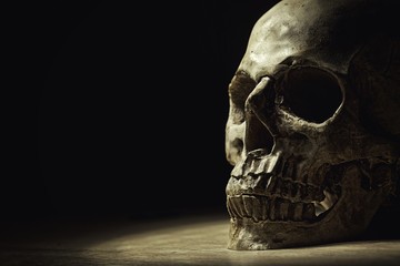 Human skull in dim light closeup photo