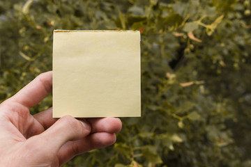 empty sticker in a hand of a caucasian man, green trees in background. small sheet of paper in hand with copy space for text. Hand holding sticky note.