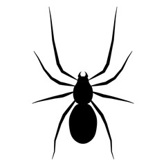 Spider icon illustration isolated Vector