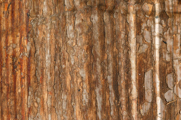 Peeling paint on old brown wood desk. scratched wooden flooring with lacquer peeled off. a fragment...