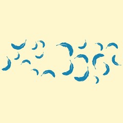Feather background