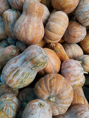 pumpkin, halloween, orange, autumn, pumpkins, fall, harvest, vegetable, food, thanksgiving, market, farm