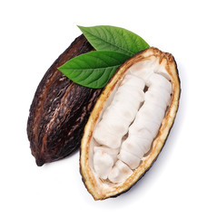 Cacao pod.