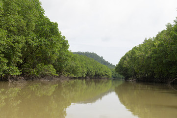 Fototapeta na wymiar Rivers with trees around in Thailand