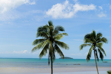Fototapeta na wymiar Summer beach in Thailand, blue ocean, sand, and sunshine
