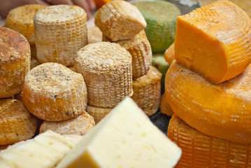Different types of cheese on the table. Many cheese is sold at an agricultural fair. Natural home product.