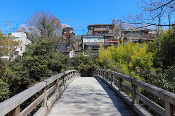 Fototapeta na wymiar 猿橋（山梨県大月市）,saruhashi bridge,ootsuki city,yamanashi pref,japan