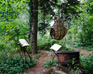 witch place in the forest to conjure up