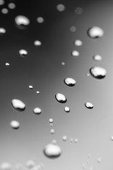 abstract water drops on plain background, black and white photography, shallow depth of field