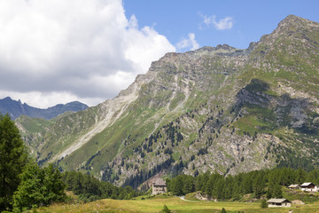Fototapeta na wymiar Beautiful landscape on the Alps mountain height in sunny summer season