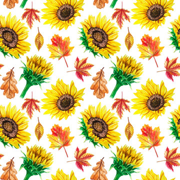 Watercolor autumn seamless pattern with fallen leaves and sunflowers isolated on white background. 