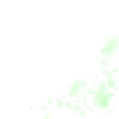 Green flower petals falling down. Curious romantic