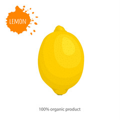 Banner with a lemon. Vector card of whole ripe lemon close-up. Illustration on the theme of healthy and organic nutrition.