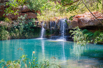 Beautiful Fern Pool behind Fortescue Falls at Dales Gorge at Karijini National Park