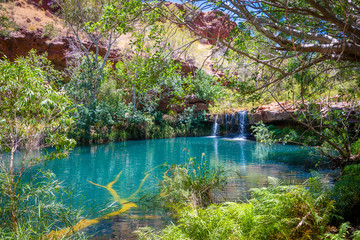 Beautiful Fern Pool behind Fortescue Falls in Dales Gorge at Karijini National Park