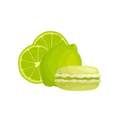 Lime macaroons. Vector traditional french cookies in cartoon style. Composition of lime and macaroon isolated on white background. Banner with almond cookies.