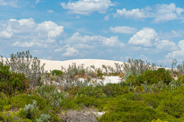 The Pinnacles Desert white sand dunes in Western Australian landscape