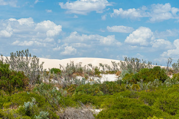 The Pinnacles Desert white sand dunes in Western Australian landscape
