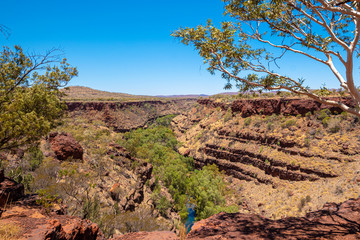 View along the Dales Gorge at Karijini National Park Australia green oasis
