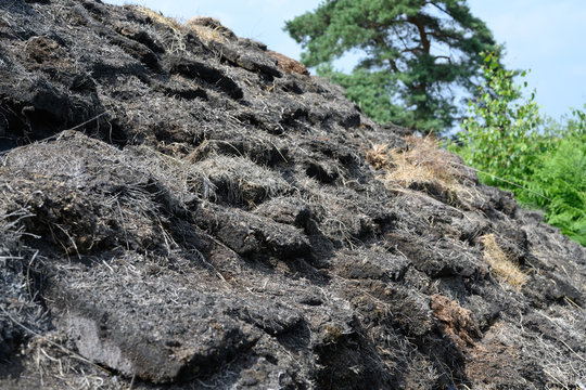 Dry peat on a roof in Holland