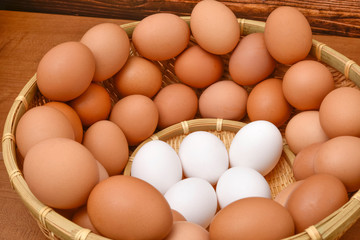 茶色い卵　白い卵