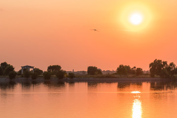 Birds Flying Toward the Sun Above the Lake at Sunset