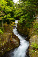 It is a Ryuto waterfall in Tochigi, Japan