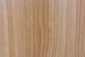 Naklejka premium Texture of wood background closeup.