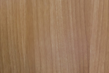 Naklejka premium Texture of wood background closeup.