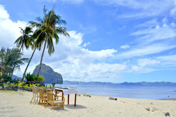 Nature landscape: Sandy tropical beach with crystal clear water, palms trees and some empty chairs.