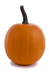 One orange pumpkin