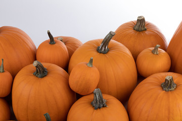 Heap of orange pumpkins