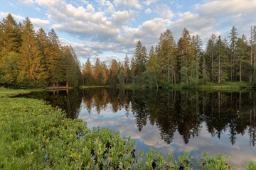 Allein am stillen Moorsee