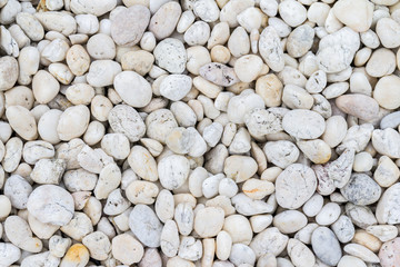 White pebbles stone texture and background 