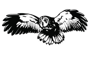 Owl vector illustration. 
