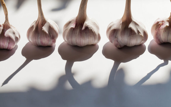 Minimal vegetable concept design. White garlic pile texture. Fresh garlic on table closeup photo. Vitamin healthy food spice image. Spicy cooking ingredient picture. Pile of white garlic heads