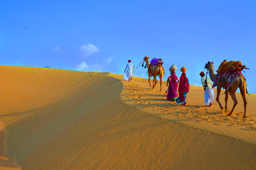 Two cameleers and women with camels walking on sand dunes of thar desert against blue sky , Jaisalmer, Rajasthan, India - Powered by Adobe