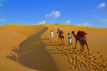 Two cameleers with camels walking on golden sand dunes at thar desert against blue sky, copy space