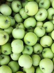 Delicious green apples in a box on the market