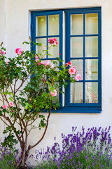 Fototapeta na wymiar Front door with flower garden in Sweden