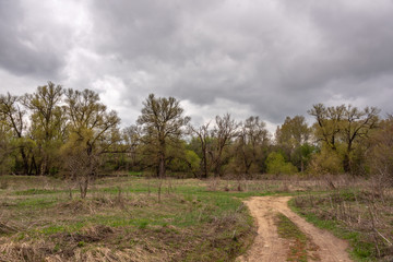 Obraz premium Rural landscape with a dirt road