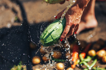 Washing vegetables, woman hands wash green zucchini outdoors sun light