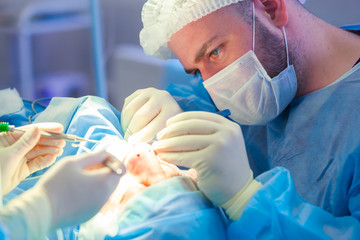 Surgeon and his assistant performing cosmetic surgery on nose in hospital operating room. Nose...