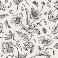 Vintage floral illustration. Seamless pattern. Poppies with butterflies. Black and white