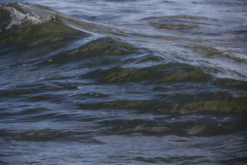 waves on  the beach close up