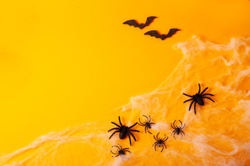 Buscar fotos: halloween