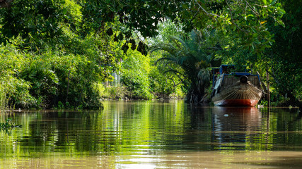 Vietnam Mekong Delta Boat tour - obrazy, fototapety, plakaty
