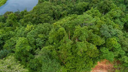 Fototapeta na wymiar Aerial view Top view of Tropical rainforest